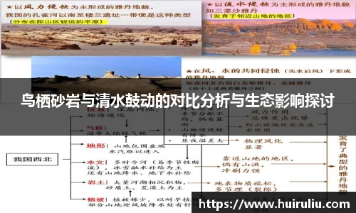 鸟栖砂岩与清水鼓动的对比分析与生态影响探讨